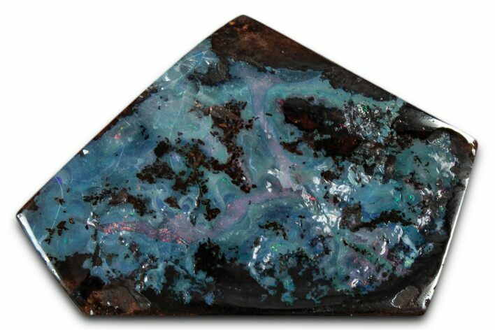 Colorful Polished Boulder Opal Specimen - Queensland, Australia #351850